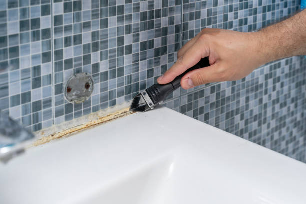 Best Professional Mold Removal  in Griswold, IA
